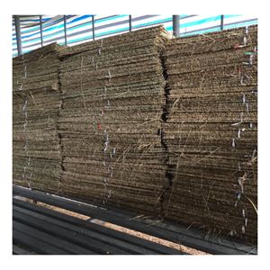 Fibre naturelle de jonc de mer séché pour paniers de rangement, matériaux de tressage de meubles, artisanat fait main, vente en gros et approvisionnement en vrac - Product Image 1