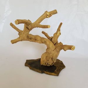 Perchoir à oiseaux en bois Thanh Tung Thinh, base rectangulaire en bois flotté naturel, décoration intérieure, fabriqué au Vietnam - Product Image 5