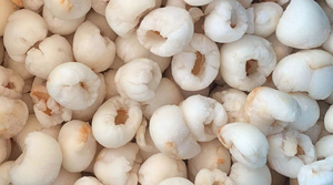 ลิ้นจี่แช่แข็งแช่แข็งเทคโนโลยีลิ้นจี่ออร์แกนิกจากเวียดนามที่เชื่อถือได้ - Product Image 4