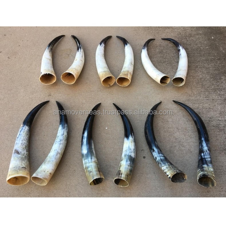 ธรรมชาติ