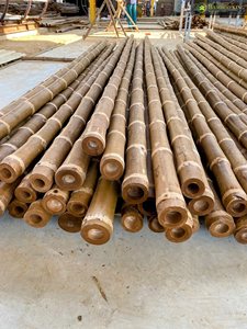Pôles en bambou durables de haute qualité, très demandés, de qualité supérieure, écologiques, pour le soutien des plantes agricoles - Product Image 3