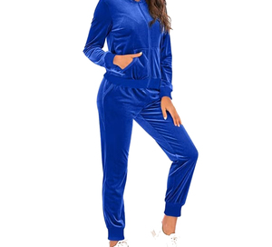 Casual Solid Color With Logo Women's Solid Color Hooded Tracksuit Full Sleeve Zipper Closure Casual Wear Autumn Regular - Product Image 1