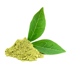 Poudre d'extrait de feuille de Gymnema, ingrédient naturel pur à base de plantes, qualité export, fournisseur en gros - Product Image 1