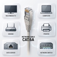 Prix compétitif, bonne qualité, 100% cuivre S/FTP LSOH gris 2,00 m RJ45 Cat. Câble réseau 6a pour l'utilisation dans les infrastructures réseau et informatiques