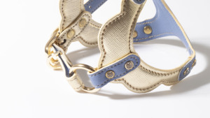 Muhlengia Dog Harness Sustainable Wedding <b>Clothes</b> Customized Closure Rivet Decoration Velvet Material Eco-Friendly - Product Image 4