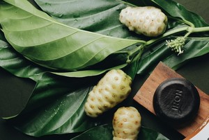 Premium Noni <b>Soap</b> – High Quality Ingredients // Mr.Tom - Product Image 5