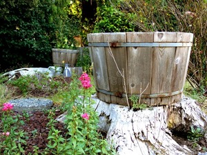 Macetas Modernas para Exteriores al por Mayor – Contenedores Decorativos Grandes para Jardines y Patios - Product Image 5