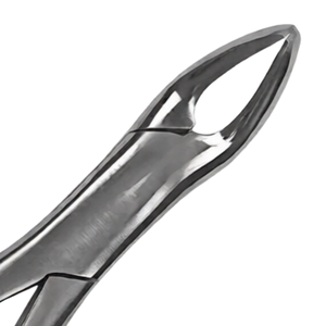 Forceps d'extraction dentaire TC # Instrument chirurgical manuel en acier inoxydable pour dents inférieures, 151 pièces, avec poignée ergonomique, certifié CE - Product Image 4