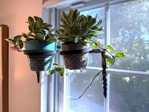 Macetero Metálico Simple para Montar en la Pared, para Plantas de Interior, Decoración del Hogar y Jardinería Vertical en Espacios Pequeños, de la India - Product Image 2