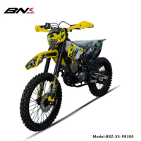 BRZ New 300cc Single Cylinder Zongshen Engine Dirt Bike off Road Motorcycle with Electric/Kick Start Enduro Moto Cross