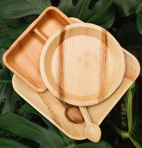 Platos de Hoja de Palma de Areca Ecológicos, Vajilla Ecológica - Macy - Product Image 4