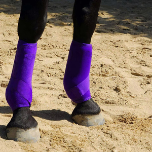 Bottes de protection en maille respirante de haute qualité pour l'équitation, construction en maille ventilée, support robuste pour les jambes, service OEM - Product Image 5