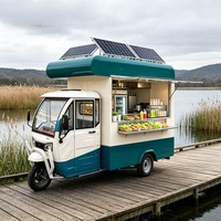 Chariot alimentaire écologique à énergie solaire avec batterie au lithium et système de charge par panneau solaire pour utilisation hors réseau