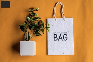Eco <b>Paper</b> <b>Carry</b> <b>Bag</b> for Jewelry Cosmetics and Apparel Boutique <b>Paper</b> Gift <b>Bag</b> for High Quality Retail Packaging Brand <b>Bags</b> 2026 - Product Image 4