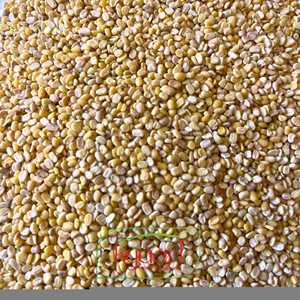 Moong Dal Jaune de Qualité Commerciale le Plus Vendu, Gramme de Haricot Séché en Gros, Ingrédient Alimentaire Riche en Protéines, 30 kg - Product Image 2