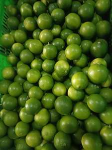 Citron vert frais sans pépins/citron vert: Les citrons à peau fine sont juteux et non amers lorsqu'ils sont mélangés à de l'eau chaude. Lima - Product Image 2