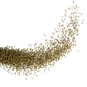 Poudre de protéines isolées de haricot moong indien de qualité supérieure, 100% protéines, végétalien, marque FitTree, nutrition végétale innovante - Product Image 1