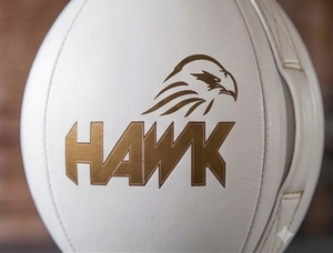 Ballon de vitesse double extrémité Hawk en cuir PU, sac de frappe lourd, installation facile, équipement d'entraînement de boxe universel pour la maison et la salle de sport - Product Image 4