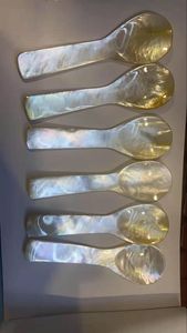 Hermosa cuchara de concha pulida hecha de madreperla para una cena elegante y ecológica por 99 Gold Data Exporter - Product Image 6