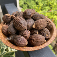 Groothandel Vietnamese Zwarte Kardemomzaden 100% Pure Non-Gmo Premium Fruit Piment Peper Saffraan Kurkuma Kaneel Kruidnagel Vers