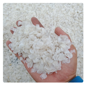 Vảy cá | hải sản tươi sống-Sản phẩm bổ dưỡng, 100% tự nhiên - Product Image 3