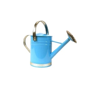 Handcrafts Iron Metal Watering <b>Cane</b> Silver Finished Flower Planter Holder Usage for Home and <b>Garden</b> Decoration - Product Image 2