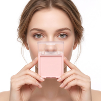 Palette vide carrée pour fards à paupières et blush, couvercle transparent, en plastique AB, estampage, portable, pour conteneur cosmétique personnalisé sous marque privée