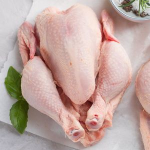 Pollo Entero Halal Congelado IQF, Aves de Corral Congeladas para Servicios de Catering y Venta al por Mayor en Supermercados, Paquete a Granel - Product Image 1