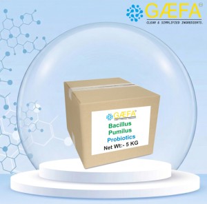 Bacillus Pumilus, Bacillus Pumilus de Alta Calidad para Alimentación Animal, para Acuicultura de Peces y Camarones - Product Image 2