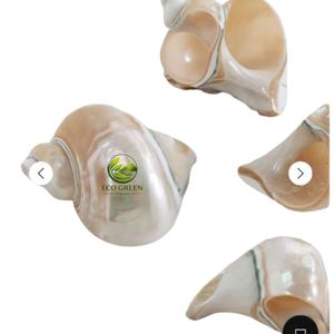 Anillos de Servilleta Hechos a Mano con Conchas de Perla Iridiscentes, Decoración de Mesa con Temática Costera, Adornos de Vajilla de Conchas Marinas de Alta Gama - Product Image 5