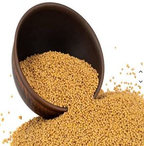Graines de moutarde de haute qualité pour usage quotidien dans les restaurants et la restauration, en promotion, provenant d'un fournisseur indien. - Product Image 1