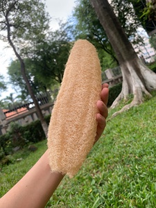 Esponja de Baño de Luffa Natural de Alta Calidad, Exfoliante Corporal Sostenible, Empaque Personalizado, Venta al Por Mayor Disponible - Product Image 1