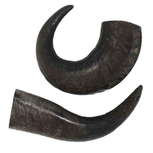 Jouet à mâcher pour chien en corne de buffle naturelle sculptée de haute qualité, écologique, en provenance d'Inde, vente en gros, Perfect Enterprises - Product Image 6