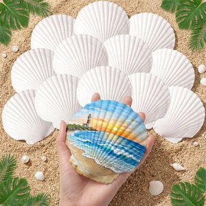 Conchas marinas pintadas a mano, pintura natural, set de manualidades con conchas marinas, arte de conchas marinas coloridas de la más alta calidad - Product Image 6