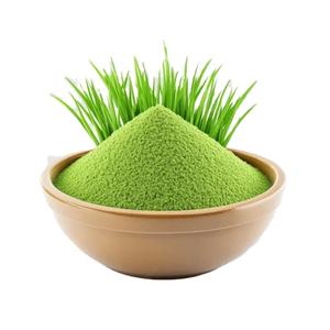 Poudre de feuilles d'herbe de blé 100% naturelle en vrac, superaliment vert riche en nutriments pour la détoxification, le nettoyage et l'énergie, fabricant OEM ODM en gros - Product Image 2