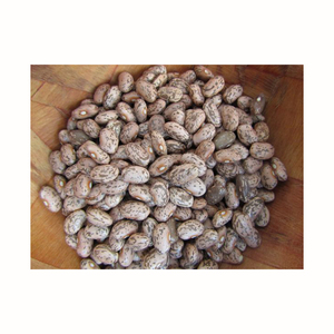 Deliciosos y de Alta Calidad, Frijoles Pinto en Venta, 280-320 granos/100g - Product Image 1