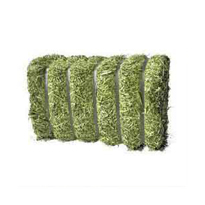 Foin d'alfalfa de qualité supérieure, préparé pour la distribution en gros et les commandes destinées aux entreprises agricoles - Product Image 4