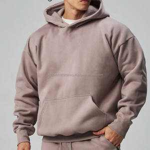500 gsm blank french <b>terry</b> hoodie pullover <b>bulk</b> Cropped hoodies 100% cotton high quality oversized mens hoodieDDP Shipping - Product Image 1