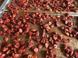 Huile de fruit de Gac rouge pur pour les soins de la peau, flacon de 250 ml, fabricant vietnamien - Product Image 4