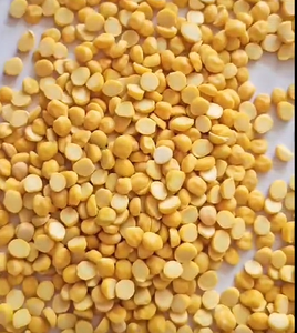 Chana Dal de Qualité Supérieure, Taille Moyenne, Nettoyé, Taille Uniforme, Disponible à Bas Prix, Idéal pour la Fabrication de Soupes au Curry et de Snacks - Product Image 3