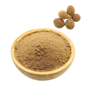 Export Quality 100% Pure Baheda Fruit Powder Health Food Grade Baheda Powder Bulk Supply Helps Support Natural Digestion Balance - Product Image 4