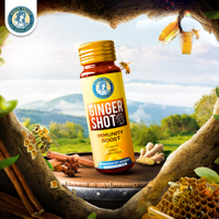 VINUT TRUST Shot de gingembre pour stimuler l'immunité, boisson de 30 ml au gingembre, miel et citron, goût épicé pour adultes