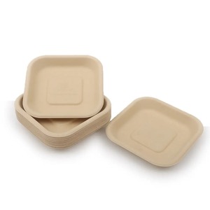 Plateau de service carré jetable de 5 pouces en pulpe moulée de qualité supérieure, vaisselle écologique compostable pour usage quotidien - Product Image 1