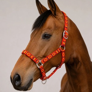 Harnais pour cheval en nylon fait main, motif rouge personnalisé, avec ferrures argentées, ajustement réglable, vente en gros - Product Image 5