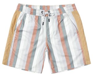 Shorts de plage pour hommes, imprimés, taille élastique, cordon de serrage, style tropical, décontracté, coloré, léger, pour l'été - Product Image 6