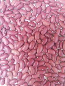 Wholesale Dried Black Kidney <b>Beans</b> Food Grade Premium Export Quality 99%+ Purity FSSAI/ISO Certified 24-Month Shelf Life Sunari - Product Image 4