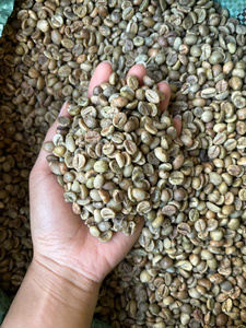 เมล็ดกาแฟกรีนบีน - เมล็ดกาแฟโรบัสต้า/อาราบิก้าพรีเมียม - ขายดีในราคาคุ้มค่า - บรรจุแบบขายส่ง - Product Image 2