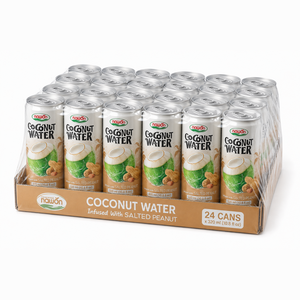 Bebida de Agua de Coco con Canela de Marca Privada, Fabricación por Contrato OEM, Fórmula Personalizada, Lata de 330 ml - Product Image 3