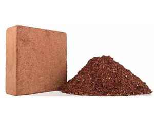 <b>Organic</b> Coconut Peat Fiber FOR PLANT 5KG BLOCK COCO PEAT POWDER <b>ORGANIC</b> COCO PEAT BRIQUETTES COCO PEAT BRIQUETTES for sales now - Product Image 1