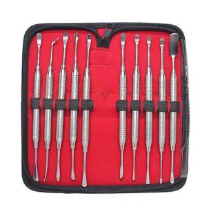 Stainless Steel Dental Periosteal Elevator Kit 10 Pcs Double-Ended Surgical <b>Instruments</b> for Implant Periodontal By Grip Surgical - Product Image 1